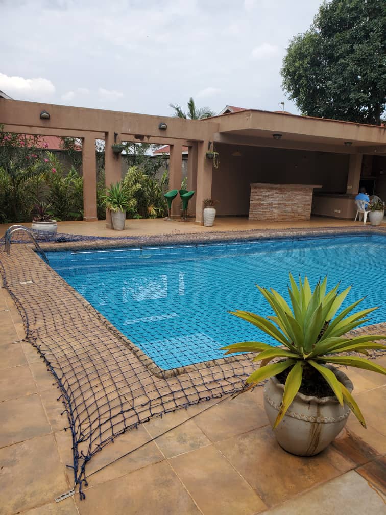 WhatsApp Image 2021-01-01 at 10.04.29 AM.jpeg